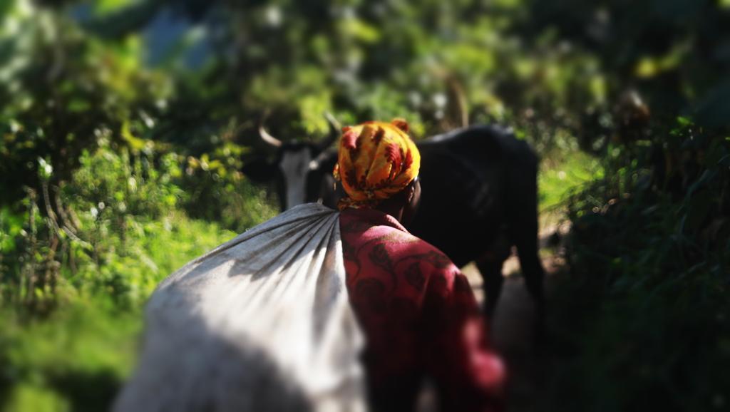 Amasiko Homestay Lake Bunyonyi Kabale Zewnętrze zdjęcie