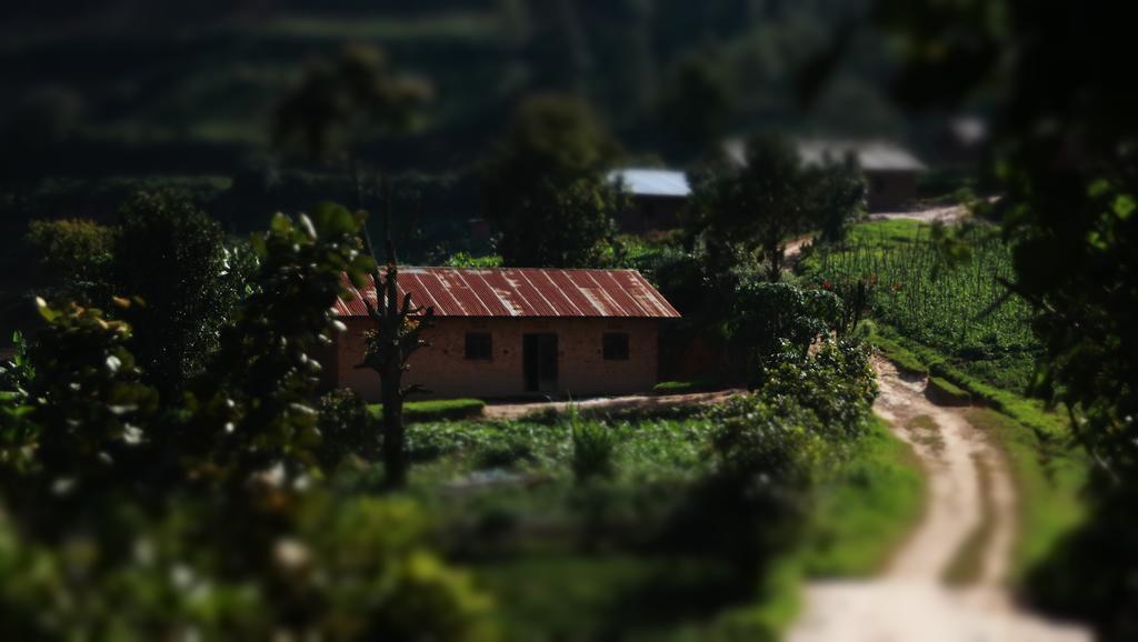 Amasiko Homestay Lake Bunyonyi Kabale Zewnętrze zdjęcie